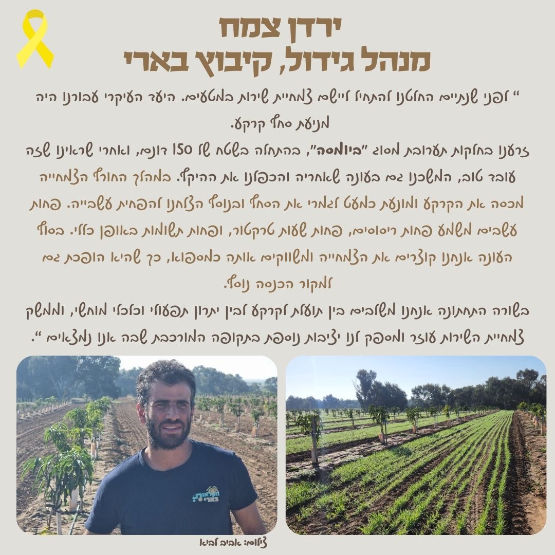 סיפור לקוח 4