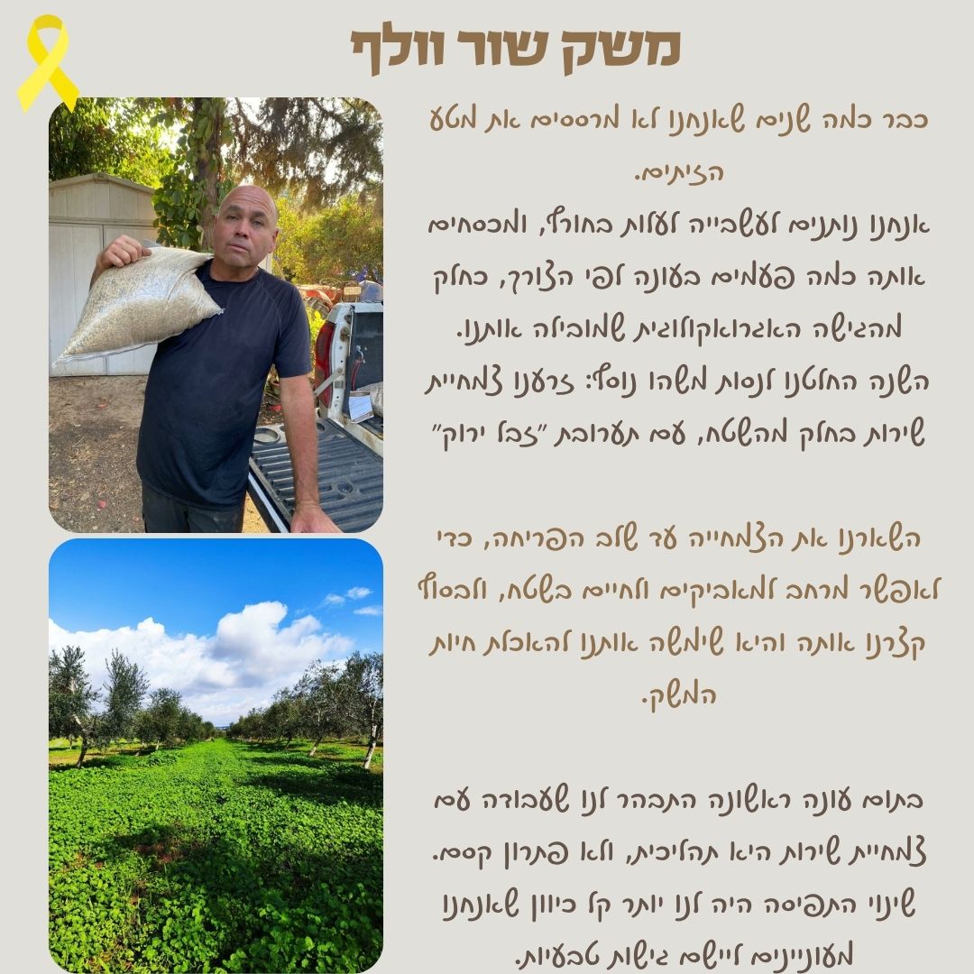 סיפור לקוח 1