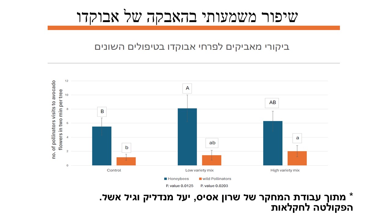 תמונה מהמטע – 1