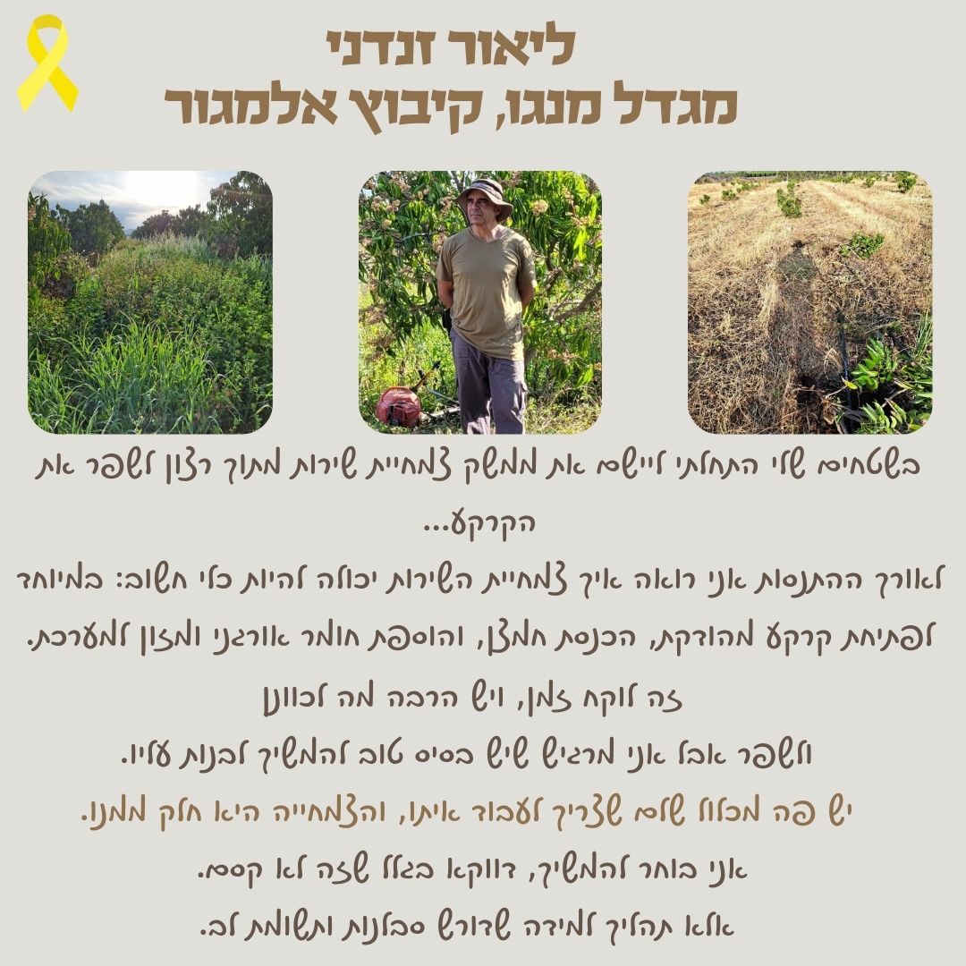 סיפור לקוח 2