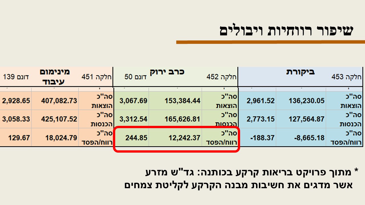 תמונה מהמטע – 2