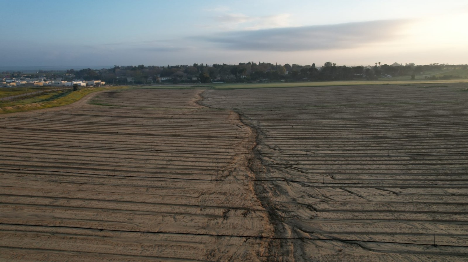 עבודה במטע – המחשה
